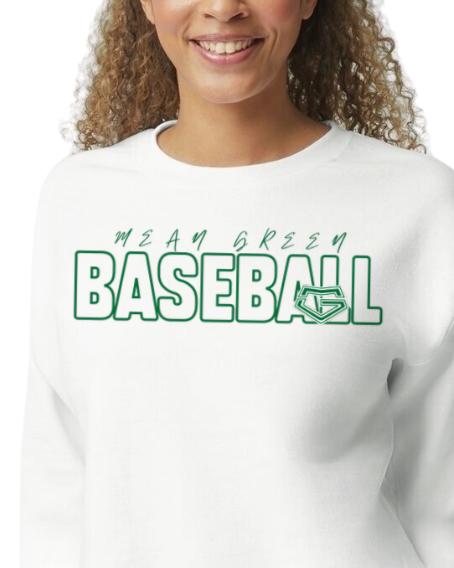 Youth crewneck sweatshirt baseball