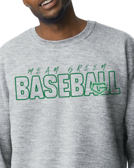 Youth crewneck sweatshirt baseball