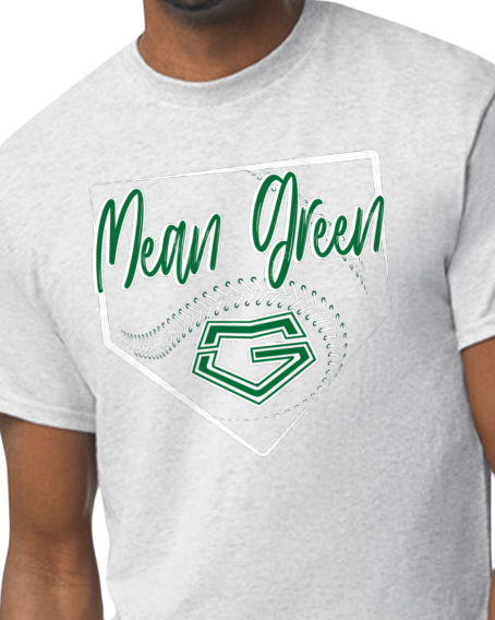 Gildan brand tshirt baseball