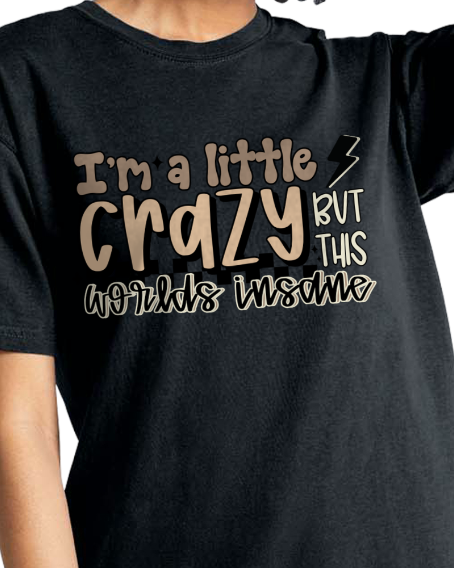 I’m a little crazy Comfort Colors Brand unisex t-shirt
